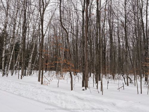 49 Cedar Sands Roadway, Lyndhurst, ON, K0E1N0 | Card Image