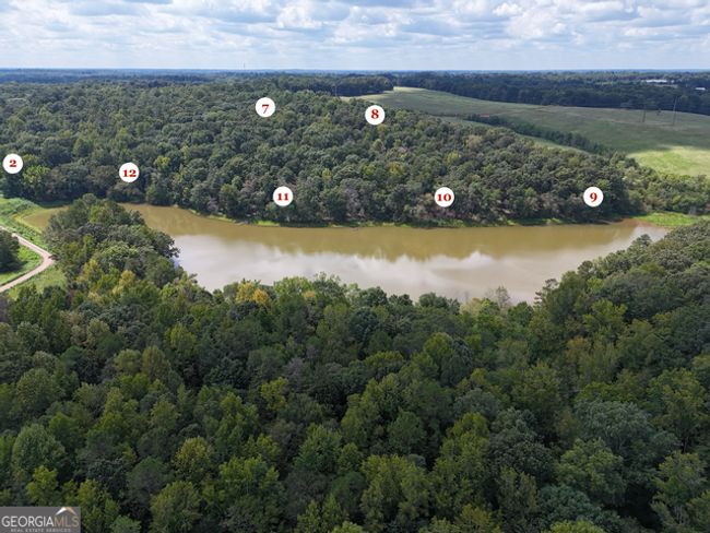TRACT-10 - 0 Sanford Dr, Home with 0 bedrooms, 0 bathrooms and null parking in Nicholson GA | Image 5