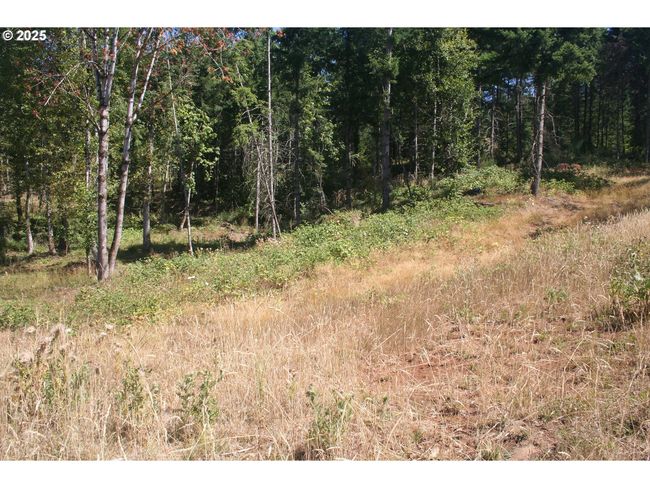 3647 Briar Knob Loop Ne, Home with 0 bedrooms, 0 bathrooms and null parking in Scotts Mills OR | Image 16