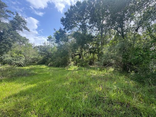 TBD Dewberry Lane, Louise, TX, 77455 | Card Image