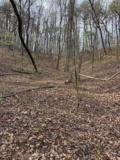 408 Back Valley Rd, Sale Creek, TN, 37373 | Card Image