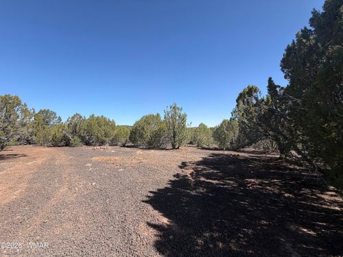 lot 199 Road, Vernon, AZ, 85940 | Card Image