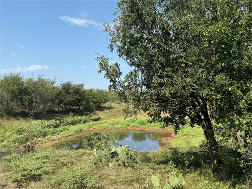 0000 Proffitt Rd, Newcastle, TX, 76372 | Card Image