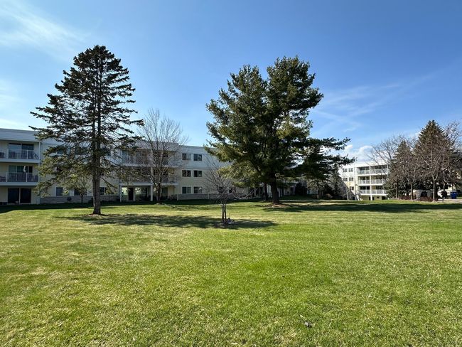 Beautiful courtyard | Image 36