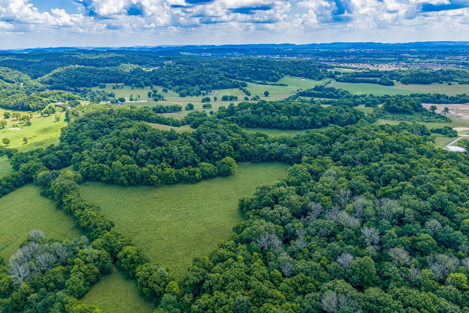 Land in Spring Hill 5