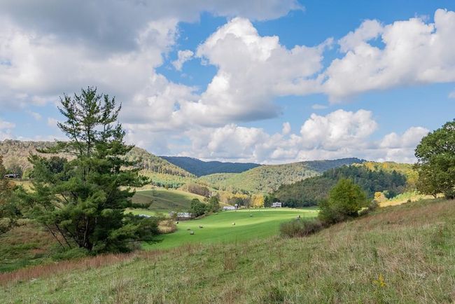 214 Comers Creek Rd, Home with 0 bedrooms, 0 bathrooms and null parking in Sugar Grove VA | Image 5