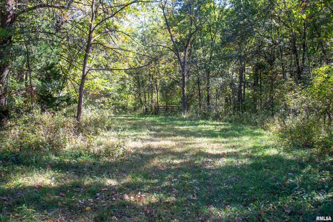 27232 215 Th St, Home with 5 bedrooms, 4 bathrooms and null parking in Canton MO | Image 18