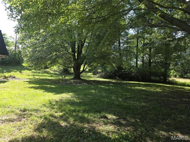 View of grassy yard | Image 13