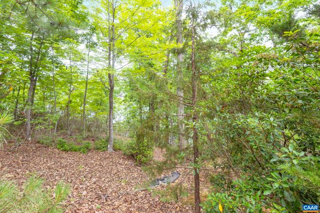 42 Cliftwood Rd, House other with 3 bedrooms, 3 bathrooms and null parking in PALMYRA VA | Image 31