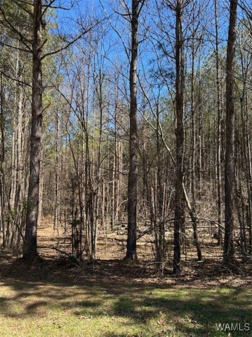 0 Kensington Blvd, Mc Calla, AL, 35111 | Card Image