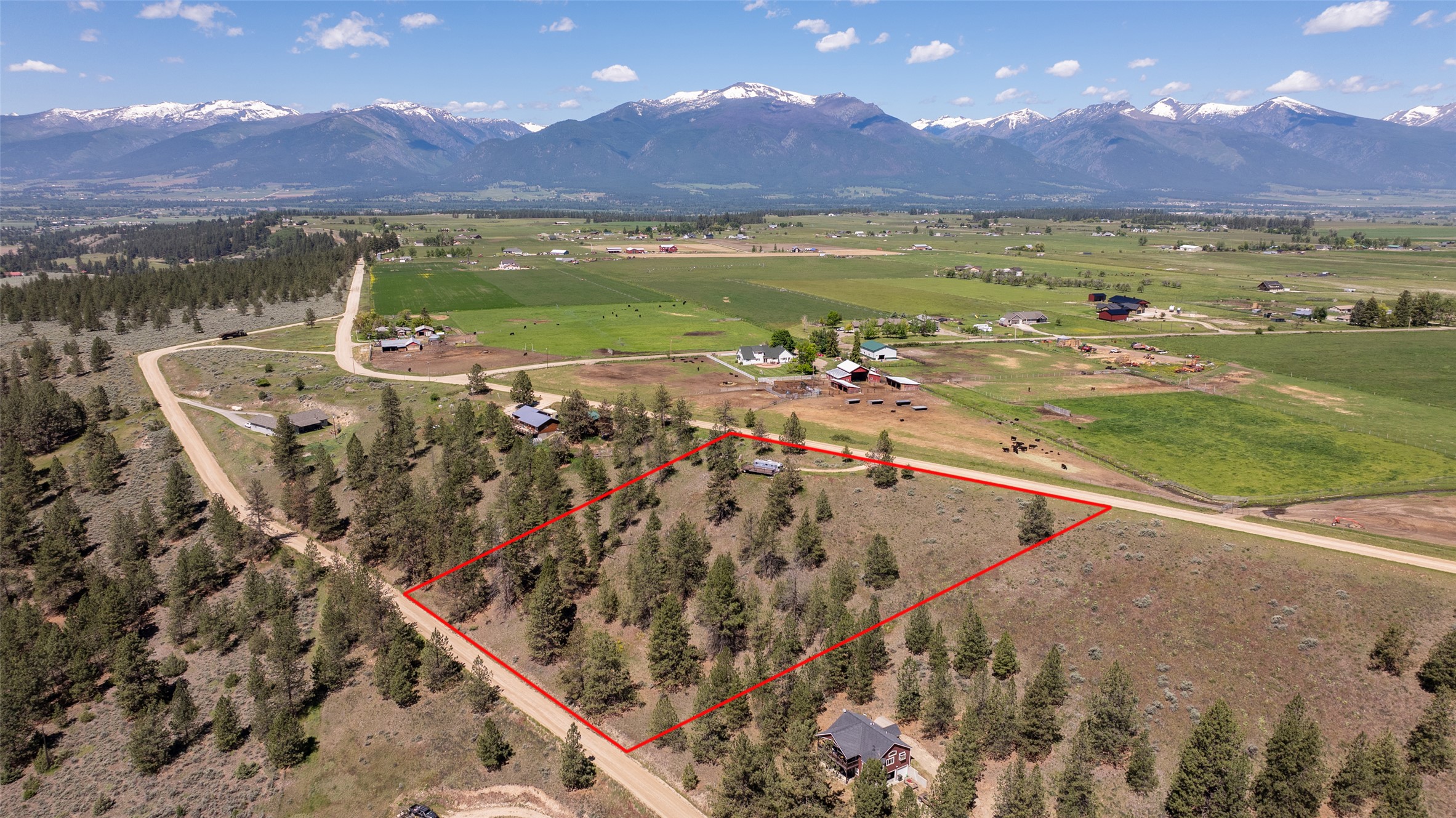 Land in Stevensville
