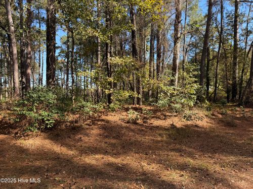 254 Falling Creek Ln, Goldsboro, NC, 27530-8927 | Card Image