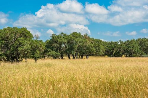12410 Hackberry Rd, Rocksprings, TX, 78880 | Card Image