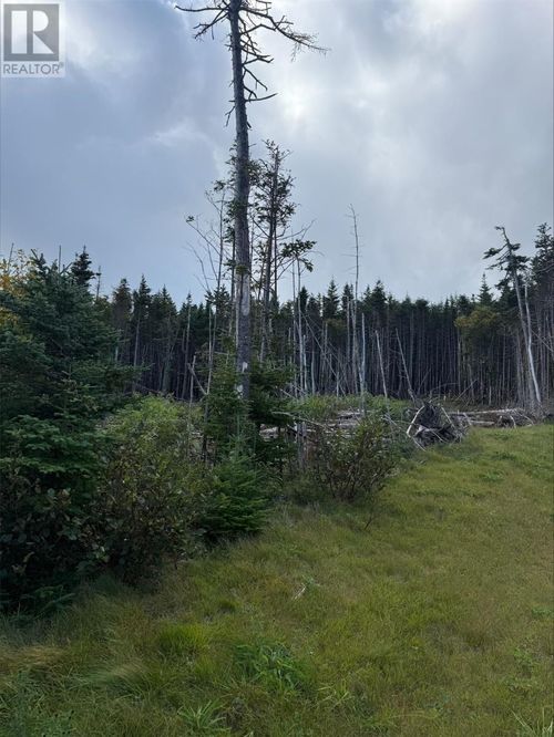 Lot 13 Southern Shore Highway, Ferryland, NL, A0A2H0 | Card Image