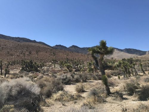 32 James Rd, Inyokern, CA, 93527 | Card Image