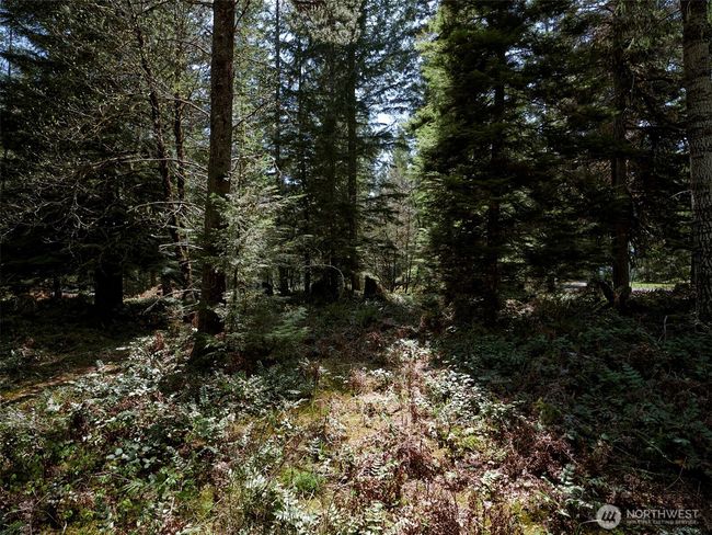 Acreage | Image 24