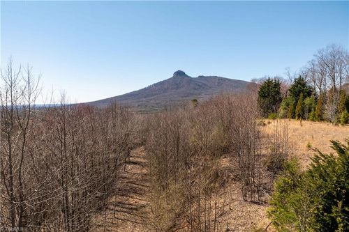222 Hummingbird Ln, Pilot Mountain, NC, 27041 | Card Image