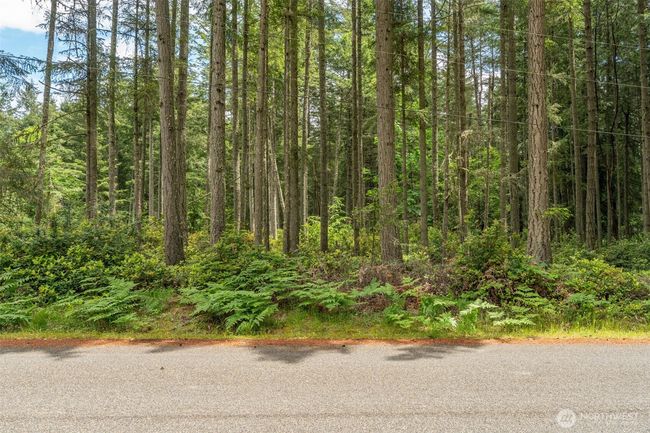 10409 Tahoma Dr, Home with 0 bedrooms, 0 bathrooms and null parking in Anderson Island WA | Image 7