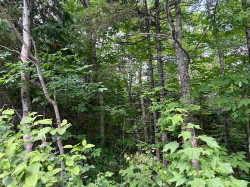 2-Lot 2 Butler Road Road, Forest Home, NS, B4N3V8 | Card Image