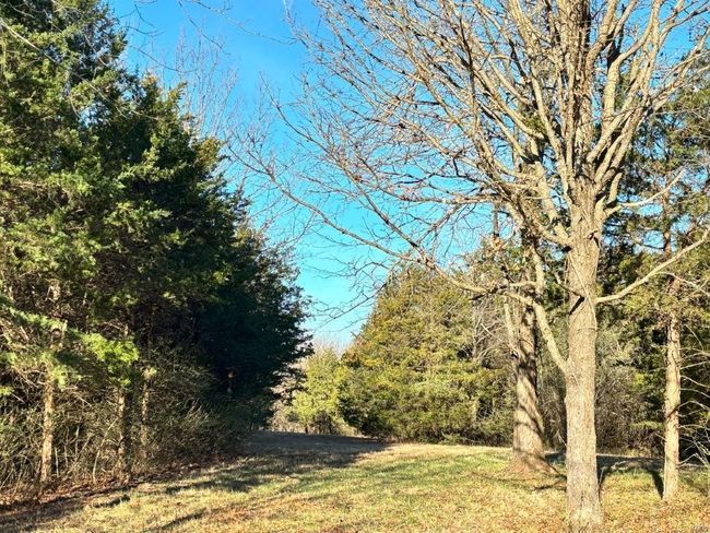 View of yard featuring a view of trees | Image 20