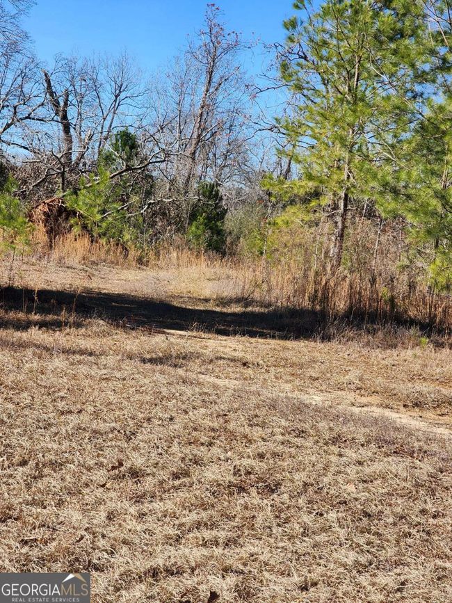 9474 Broad St, Home with 0 bedrooms, 0 bathrooms and null parking in Avera GA | Image 32