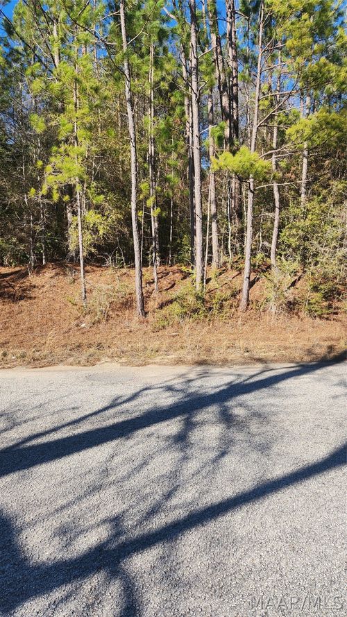 19 E Lakeshore Dr, Tuskegee, AL, 36083 | Card Image