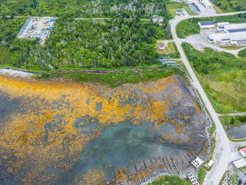 {{alt}} | Card Image