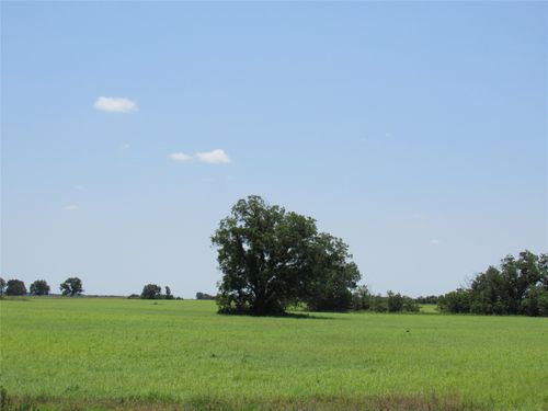 TBD County Road 295, Carbon, TX, 76435 | Card Image