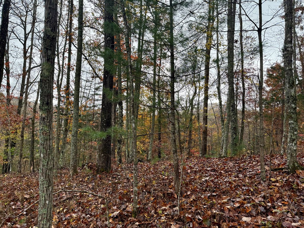 Land in Franklin 3