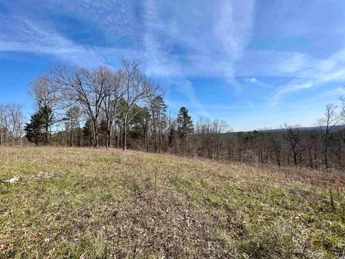 Tract 4 Ramblewood Trail, Yellville, AR, 72687 | Card Image
