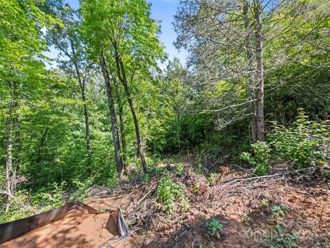 00 Ashe Loop Rd, Home with 0 bedrooms, 0 bathrooms and null parking in Sylva NC | Image 4