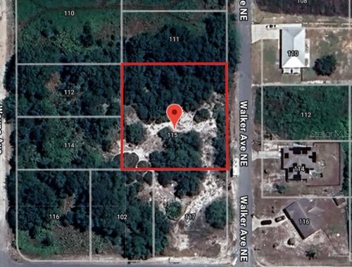 113 Walker Ave Ne, LAKE PLACID, FL, 33852 | Card Image