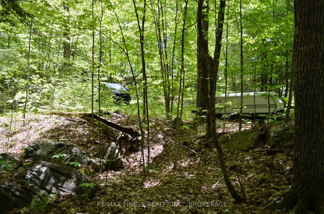 734 Sherbrooke Dr, Home with 0 bedrooms, 0 bathrooms and null parking in Maberly ON | Image 4