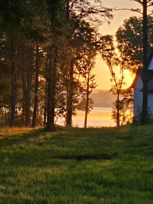 43 Sunset Harbor Dr, Dandridge, TN, 37725 | Card Image