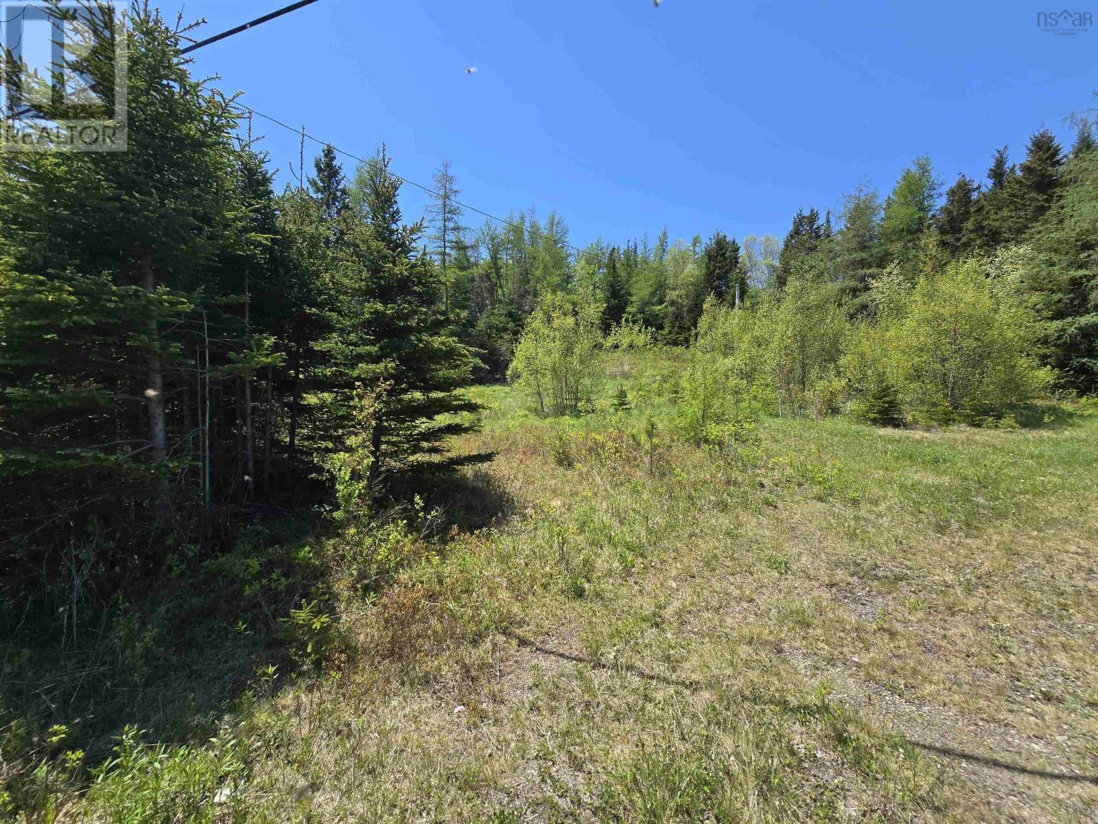 Land in Country Harbour 3