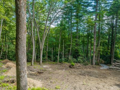 Lot 8 Pineland Drive, Home with 0 bedrooms, 0 bathrooms and null parking in Highlands NC | Image 3