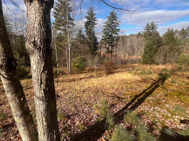 196 Old Turnpike Rd, House other with 3 bedrooms, 2 bathrooms and null parking in Fitzwilliam NH | Image 35