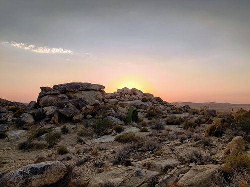 25220 Cottonwood Rd, Adelanto, CA, 92301 | Card Image