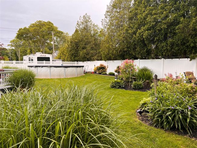 View of yard | Image 6