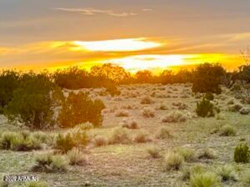 --TBD Co Rd N6659 36.25 Acres --, St. Johns, AZ, 85936 | Card Image