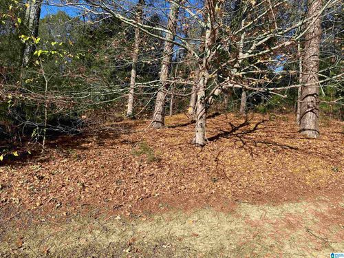 8-0 Monticello Pl Sw, Jacksonville, AL, 36265 | Card Image