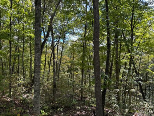 89-Lot 87, 88, 89 Sandstone Point Trl, Monticello, KY, 42633 | Card Image