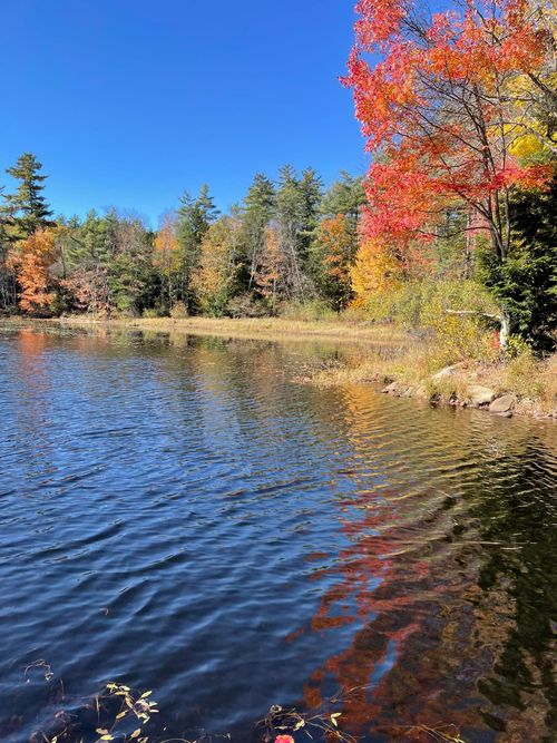 173 Gilmore Pond Road, Jaffrey, NH, 03452 | Card Image