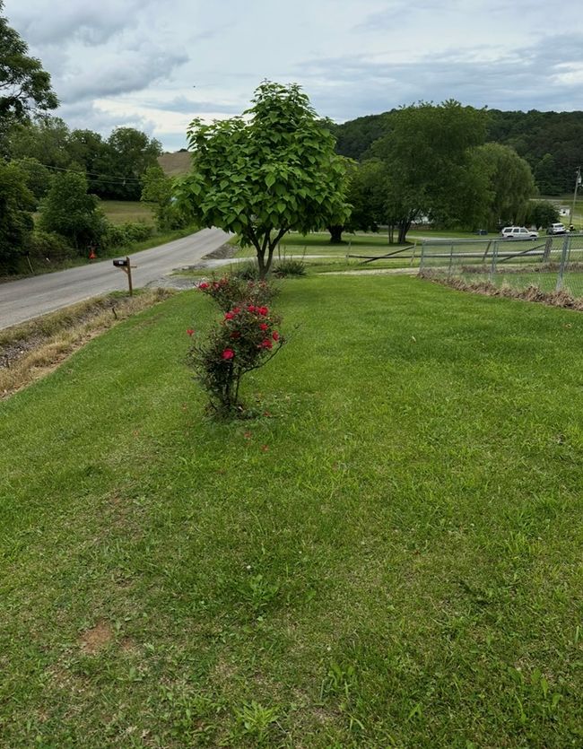 199 Felts Ln, House other with 3 bedrooms, 2 bathrooms and null parking in Max Meadows VA | Image 30