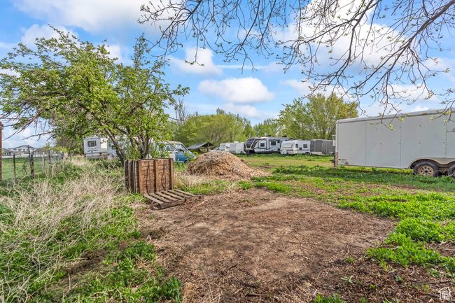 View of yard | Image 37