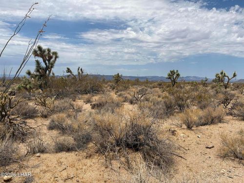 00 S Organ Pipe Pl, Yucca, AZ, 86438 | Card Image