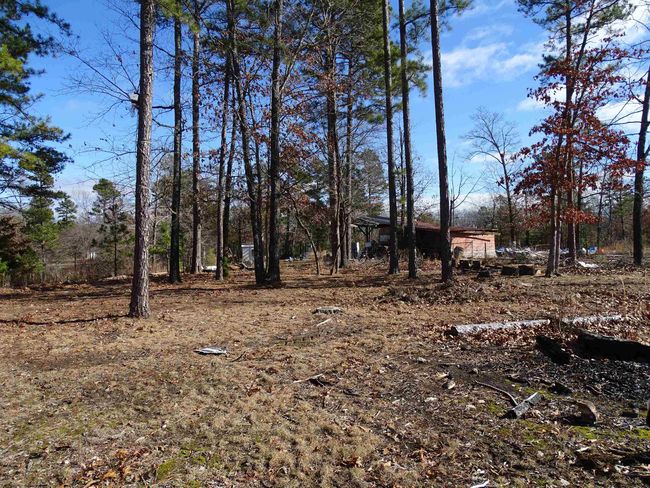 1163 Fee Hollow Ter, House other with 4 bedrooms, 3 bathrooms and null parking in Yellville AR | Image 34