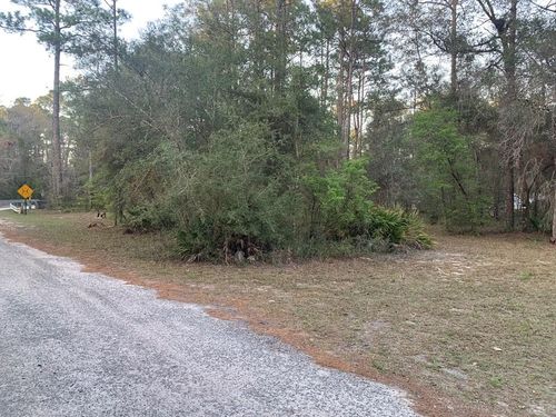 Lot 11 Buckhorn Creek Rd, SOPCHOPPY, FL, 32358 | Card Image