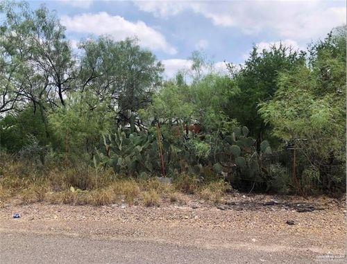 00 N Ebony Ave, Roma, TX, 78584 | Card Image