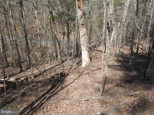 180 Spruce Ln, MOUNT JACKSON, VA, 22842 | Card Image